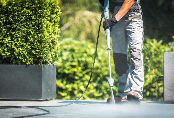 Best Paint Preparation  in Bear Creek, FL